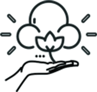 graphic of hand holding cotton plant